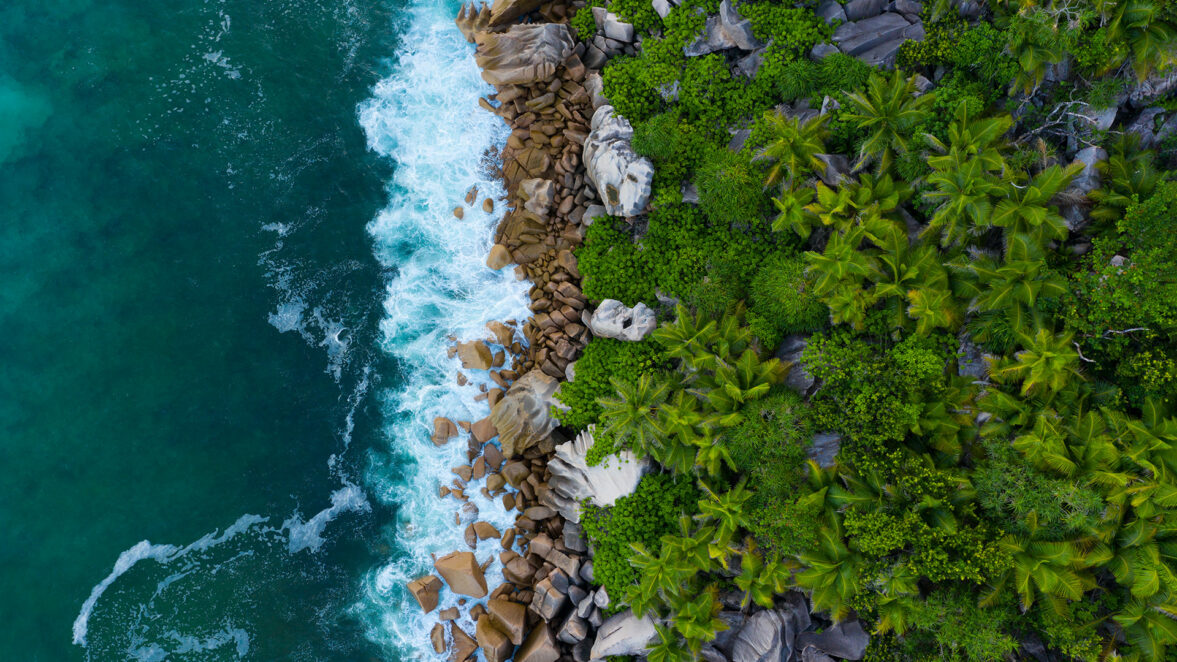 通过法律专业知识和企业责任促进可持续发展实践