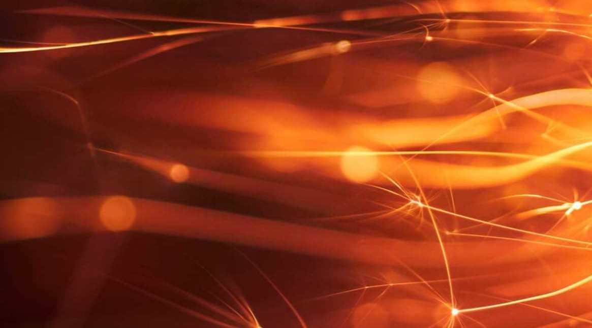 瀛泰全体党员观看党的二十大开幕会