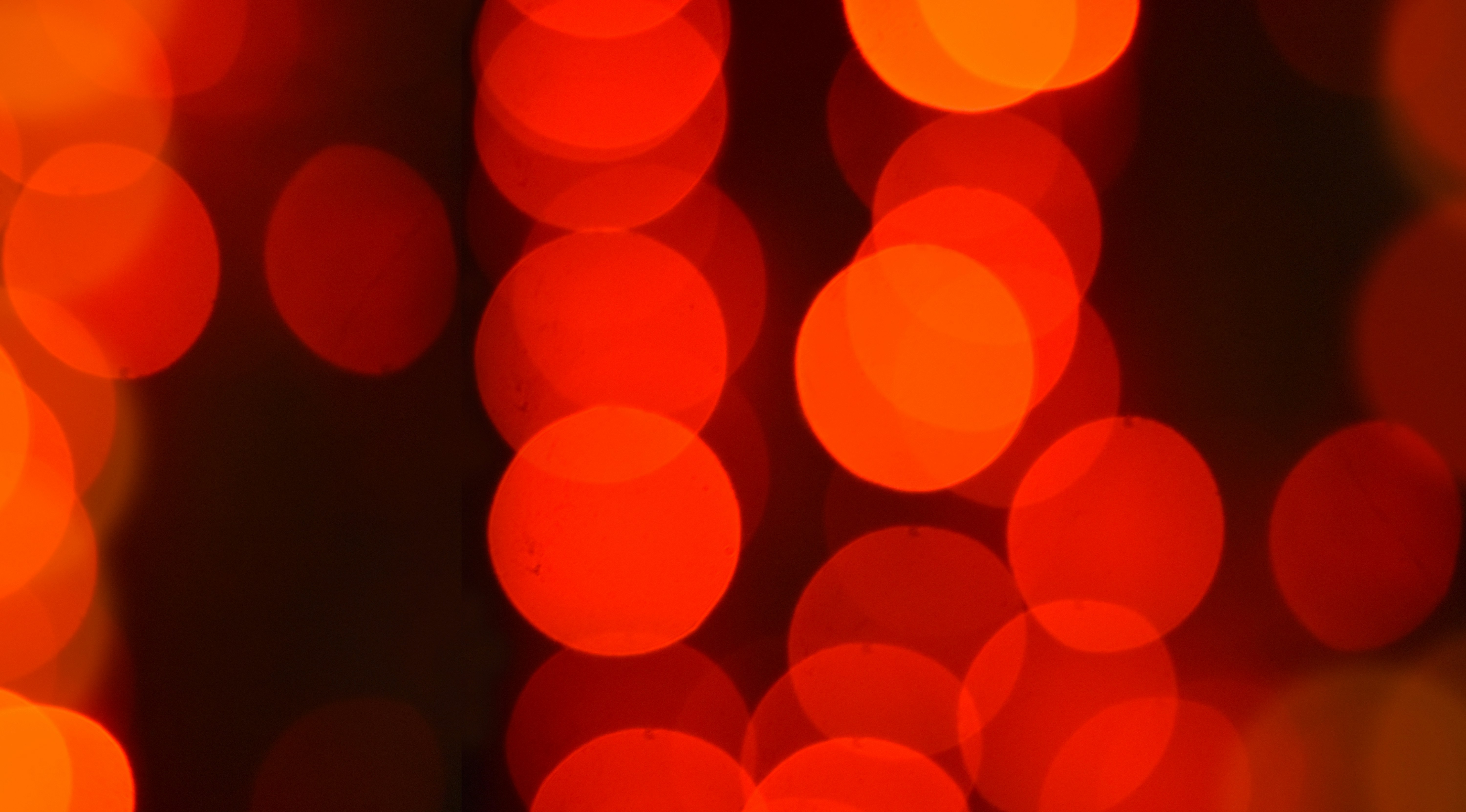 重走红军路，照亮新征程——功承瀛泰党总支井冈山红色之旅