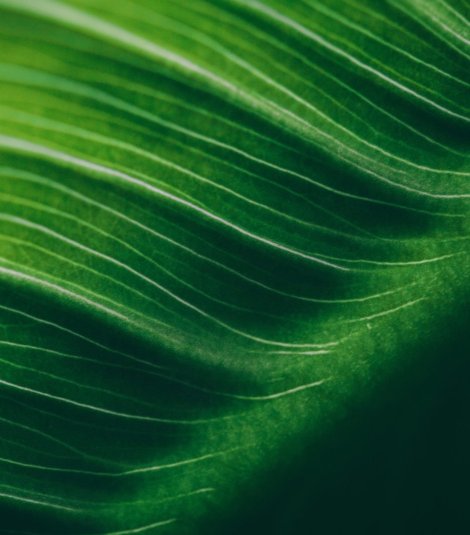 能源，环境与基础设施