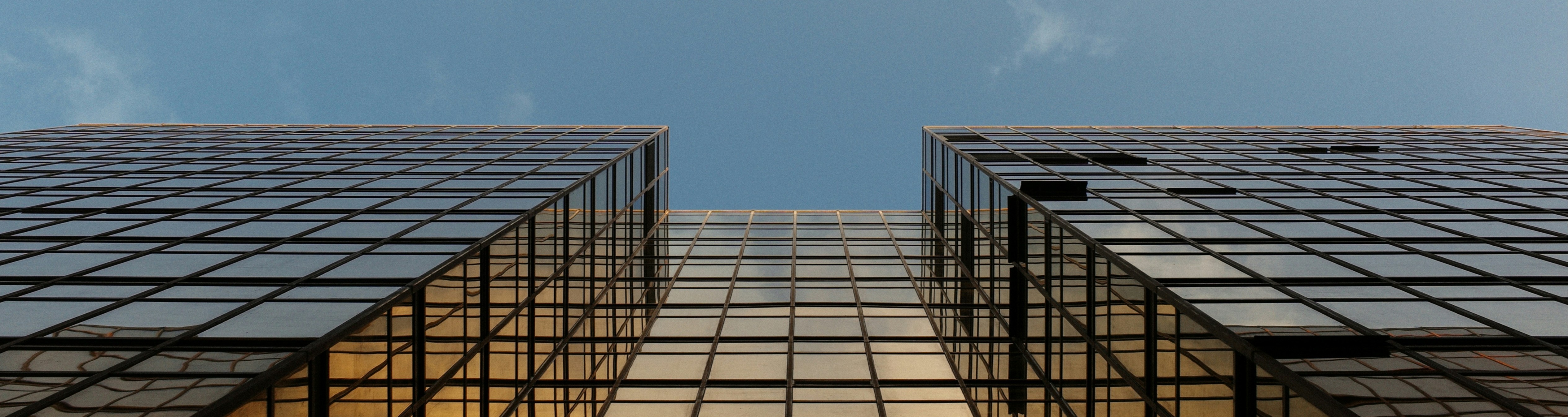 基层立法与产业政策研究